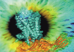 攻克细胞信号传导重大凯发k8难题